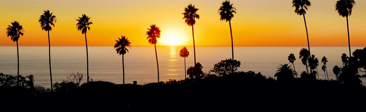 Sun setting over the ocean with palm trees silhouetted on the horizon.